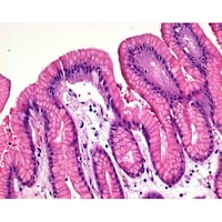 �P�D�O�T�P�V�T�D�Q�T�O�O�@�M���w�}�g�L�V