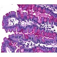 �P�D�O�X�O�R�R�D�O�T�O�O�@�V�b�t����@��