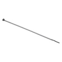 �i�C���������o���h�@���@���R�D�U�~�����Q