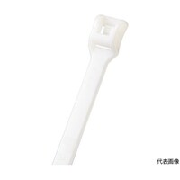 �����o���h�@�x���g�^�C�@�i�`�������@�S�D