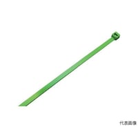 �o�k�s�Q�r�b�T�T�@�i�C���������o���h