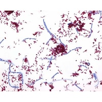 �P�D�O�W�T�P�Q�D�O�T�O�O�@�s���|�J���[�E