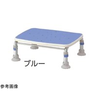 �X�e�����X��������q�@�P�Q�|�P�T�@�u���[