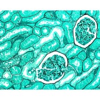 �P�D�O�V�X�U�P�D�O�T�O�O�@�G���e�����j��