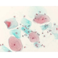 �P�D�O�X�Q�V�T�D�O�T�O�O�@�V���[�����F�t