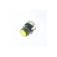 �ی`�����{�^���X�C�b�`�@�`�P�U�s�o�x�l�P