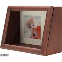 �f�B�X�v���C�a�n�w�@�u���E���@�o�r�|�l�a