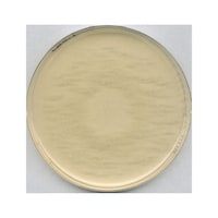 �P�D�O�T�S�P�R�D�O�T�O�O�@���S�T���V�|�n