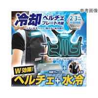 �y���`�F����x�X�g