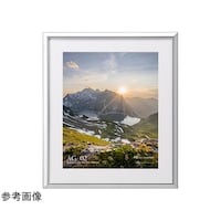 �A���~�K�N�@�V���o�[�@�S�c�@�e�`�f�Q�|�r