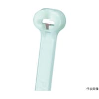 �X�e�����X�܃��b�N���i�C���������o���h�@