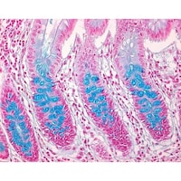 �P�D�O�O�P�Q�P�D�O�T�O�O�@�m�t�b�k�d�`�q