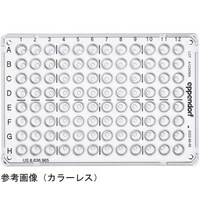 �c�C���e�N�@�s���������@�o�b�q�v���[�g�@�X�U�X�J�[�g�@�J���[���X�@�o�b�q�@�����������@�Q�T�����@�O�O�R�O�P�Q�X�V�U�W�@�P��