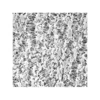 �e�g�k�b�O�Q�T�O�O�@�k�b�q�@�c�h�r�b�@�o