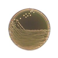 ���̂c�w�@���T�O�~�����P�W�O�~�����U�T�@�����@�s�a�|�P�O�T�@�P��