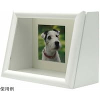 �f�B�X�v���C�a�n�w�@�z���C�g�@�o�r�|�l�a