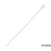 �l�W�~�߃^�C�v�i�C���������o���h