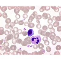 �P�D�O�X�Q�O�R�D�O�P�O�O�@�M���U�A�Y�[��