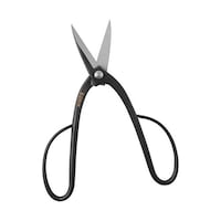 �����@�~�����@�Q�P�O�����@�V�Q�T�P�P�U