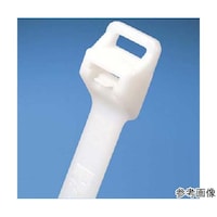 �����[�X�^�C�@���O���\�i�C���������o���h�@�i�`�������Q�T�{���@�o�q�s�U�d�g�|�p�@�P��