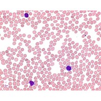 �P�D�O�P�R�T�Q�D�O�O�Q�T�@���C�|�O������