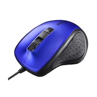 Lakdcw}EX@É^T{^^coh؂ւ{^@u[@arlatROOak@P