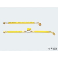 �Q�[�W�z�[�X�@�s�`�P�R�U�f�@�P�{