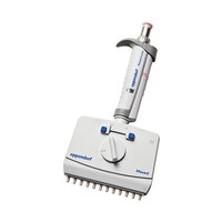 ���T�[�`�v���X�@�l�������@�h���@�P�Q�`��