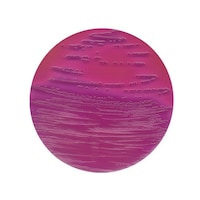 �P�D�O�S�O�R�O�D�O�T�O�O�@�t���I���J���g