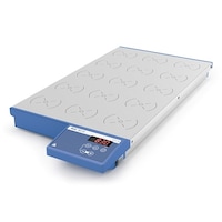 ���A���X�^�[���[�@�q�n�P�T�@�P��