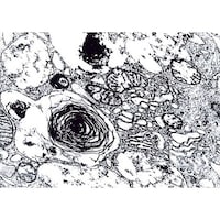 �P�D�P�Q�P�V�X�D�O�P�O�O�@�O���^���A���f