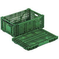 �q�r�R���e�i�[�@�O���[���@�q�r�|�l�l�S�S�r�@�P��