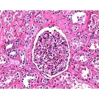 �P�D�O�T�P�V�S�D�Q�T�O�O�@�M���w�}�g�L�V