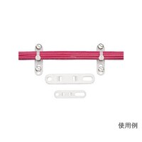 �s�o�Q�l�@�Œ��@�^�C�v���[�g