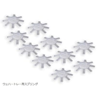 �E�F�n�[�g���[�@�X�v�����O�@�T�O�D�W����