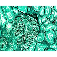 �P�D�O�O�W�Q�O�D�O�O�O�P�@�o�`�l���F�L�b