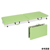 �t�Y�|�[�^�u���@���C���O���[���@�s�a�|�P�Q�U�Q�@�P��