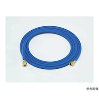 �T���\�z�[�X