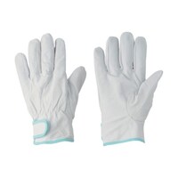 �ؖ{�v��܁i�����}�W�b�N�^�C�v�j�@�؃��C���W���[�@���ȃ^�C�v�@�P�o�@�l�T�C�Y�@�Q�R�X�O�|�l�@�P�o