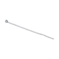 �o�k�s�P�l�l�W�@�i�C���������o���h