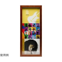 �b�c�f�B�X�v���C�t���[���i�b�c�P�[�X�R��