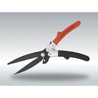 �s�`�V�S�V�e�j�@�J�b�^�[