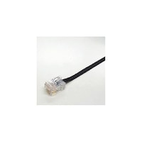 �J�e�S���[�U�����t���b�g�k�`�m�P�[�u���i