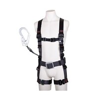 �ė����~�p���i�t���n�[�l�X�^���掮�������[�h�t�j�@�d�`�X�X�W�e�e�|�S�Q�@�d�`�X�X�W�e�e�|�S�Q�@�P��