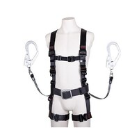 �ė����~�p���i�t���n�[�l�X�^���掮�c�C���������[�h�t�j�@�d�`�X�X�W�e�e�|�T�P�@�d�`�X�X�W�e�e�|�T�P�@�P��