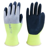 �V�R�S���w������܁@�v�n�a�l�|�l�e�Q����