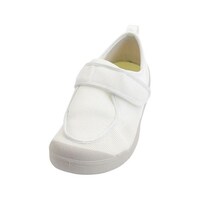 �Q�T�P�O�z���C�g�l�@�z�X�s�^���V���[�Y