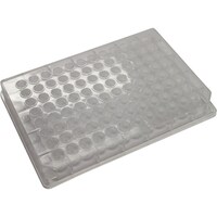 �b�q�r�@�s���A�p�X�@�K���X�R�[�g�o�o�@�X�U�E�F���v���[�g�@�R�T�O�ʂk�@�ی^�@�P�O���@�S�T�T�O�O�V