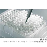 �o�b�q�N�[���[�@�O�D�Q���k�@�Z�b�g