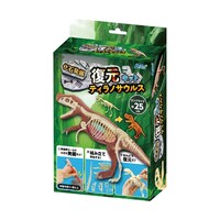 ���Δ��@�����L�b�g�@�e�B���m�T�E���X�@�T